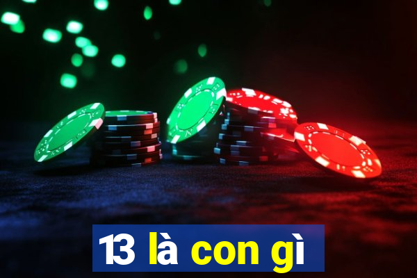 13 là con gì