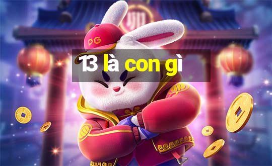 13 là con gì