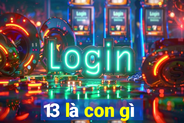 13 là con gì