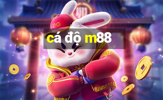 cá độ m88