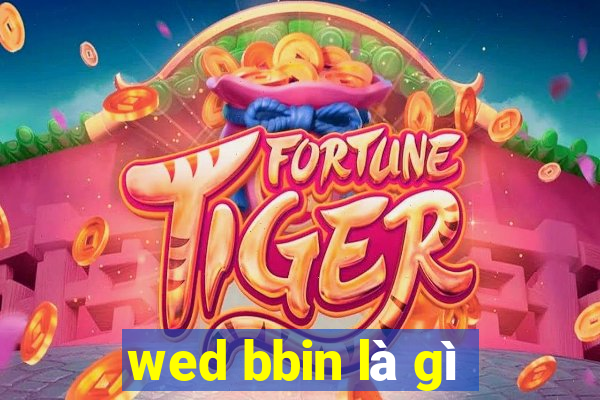 wed bbin là gì