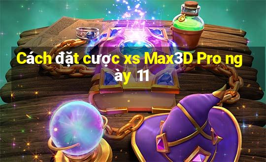 Cách đặt cược xs Max3D Pro ngày 11