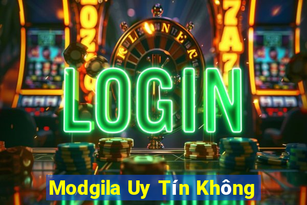 Modgila Uy Tín Không