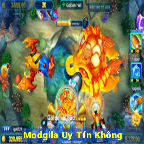 Modgila Uy Tín Không