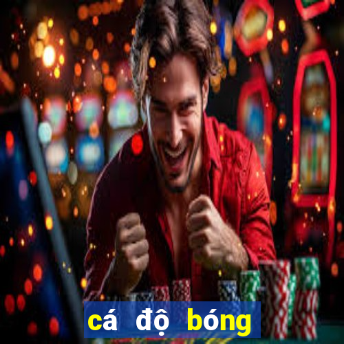 cá độ bóng đá uy tín