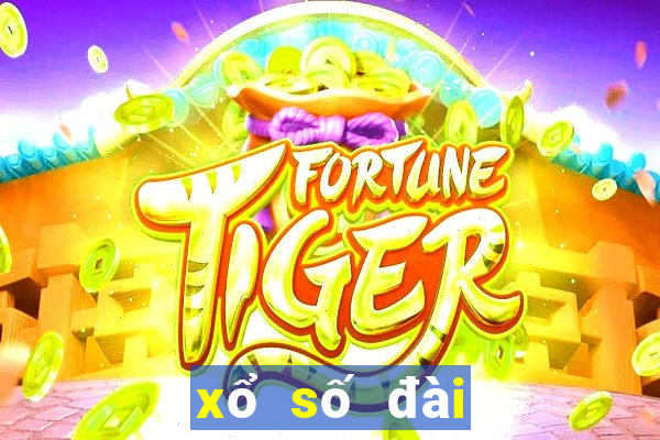 xo so dai dong thap