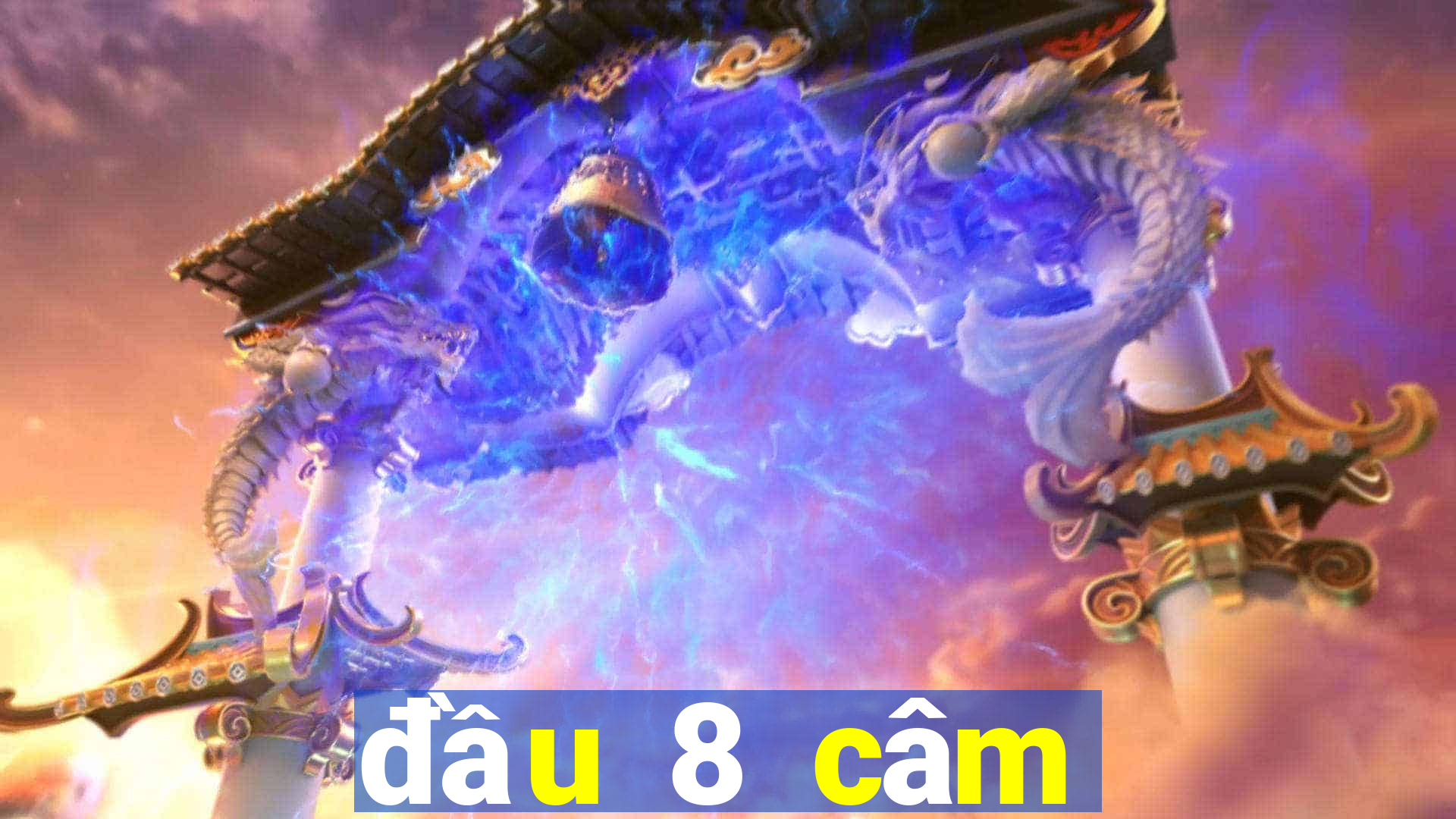 đầu 8 câm đánh lô con gì