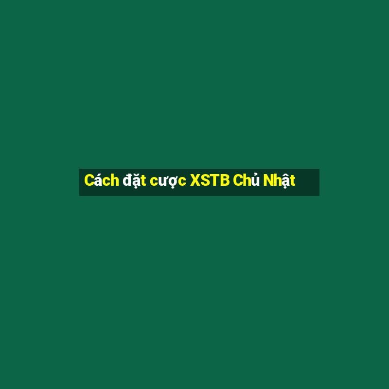 Cách đặt cược XSTB Chủ Nhật