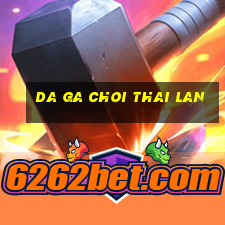 da ga choi thai lan