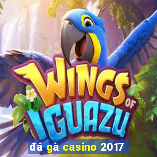 đá gà casino 2017