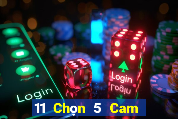 11 Chọn 5 Cam Tviệt nam