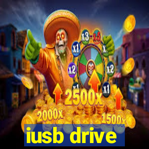 iusb drive