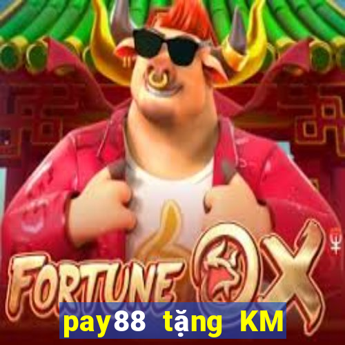 pay88 tặng KM hấp dẫn