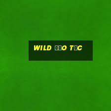 Wild Đạo Tặc