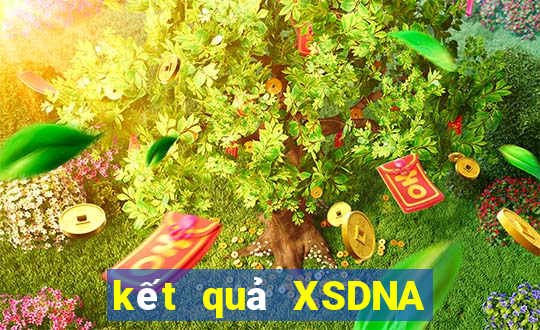 kết quả XSDNA ngày 14