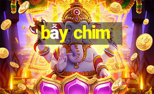 bẫy chim