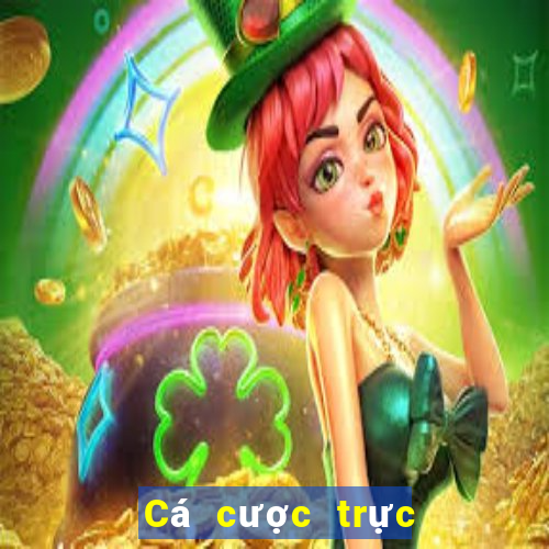 Cá cược trực tuyến hit club