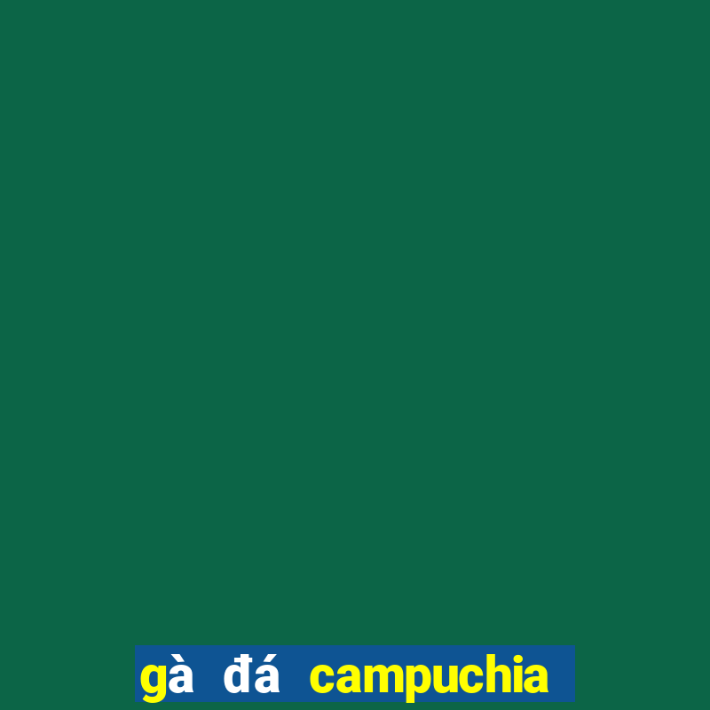 gà đá campuchia hôm nay