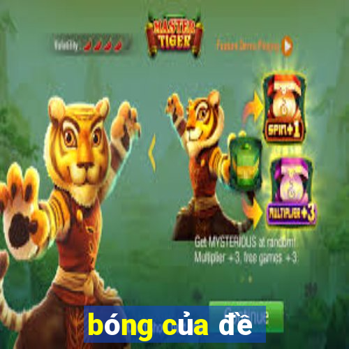 bóng của đề