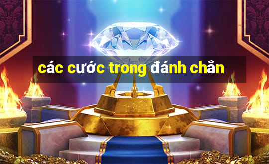 các cước trong đánh chắn