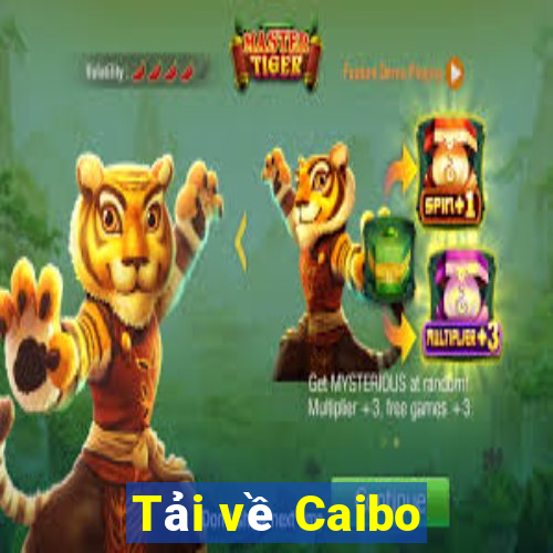 Tải về Caibo