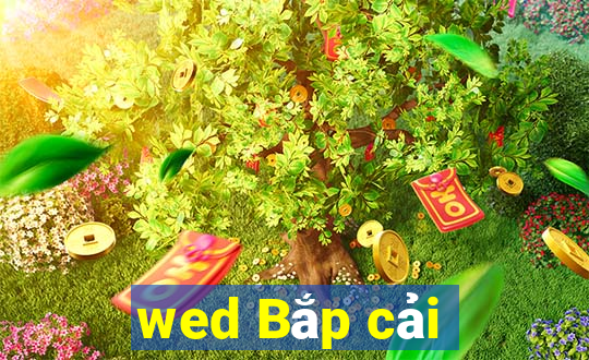 wed Bắp cải