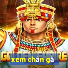 xem chân gà