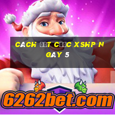 Cách đặt cược XSHP ngày 5