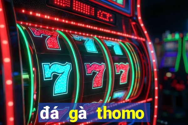 đá gà thomo hôm nay trận 23