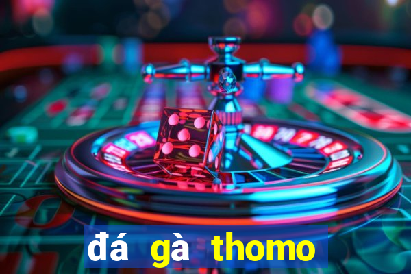 đá gà thomo hôm nay trận 23