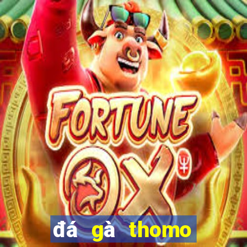 đá gà thomo hôm nay trận 23