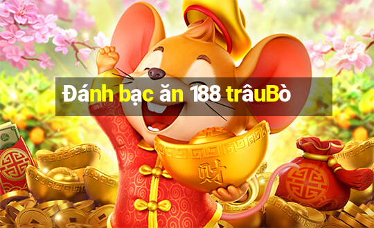 Đánh bạc ăn 188 trâuBò