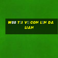 W88 Tải về con lăn Dalian