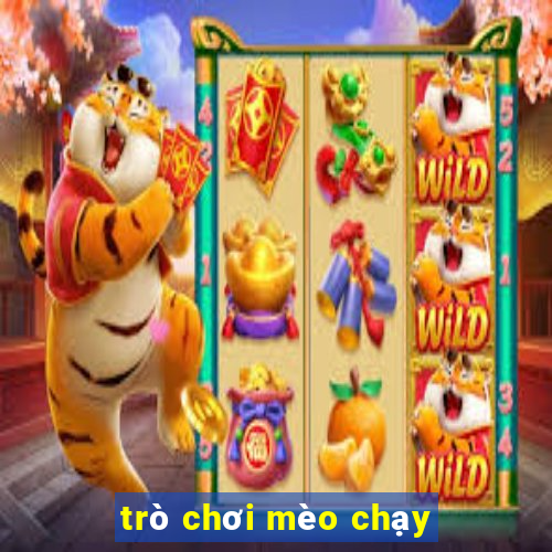 trò chơi mèo chạy