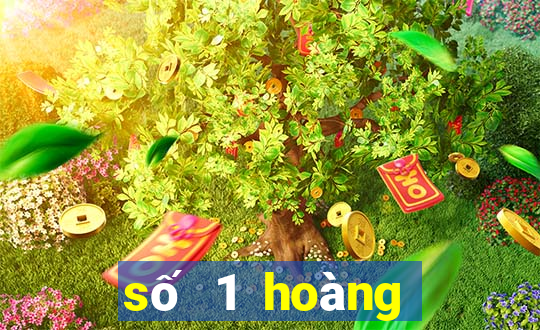 số 1 hoàng đạo thúy