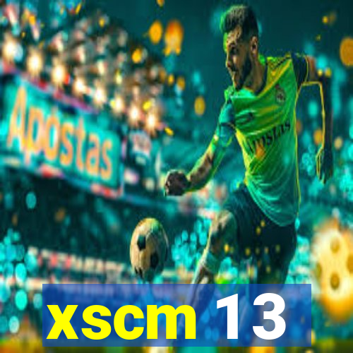 xscm 1 3