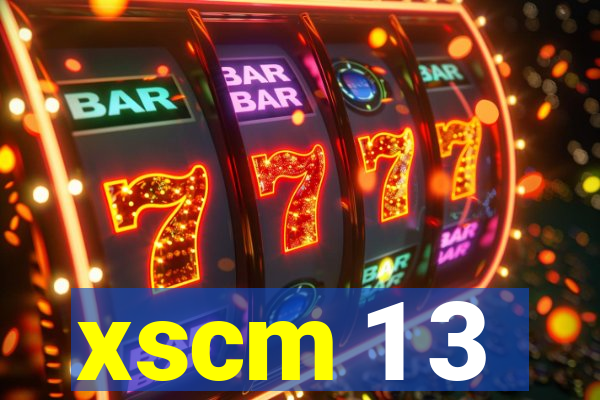 xscm 1 3