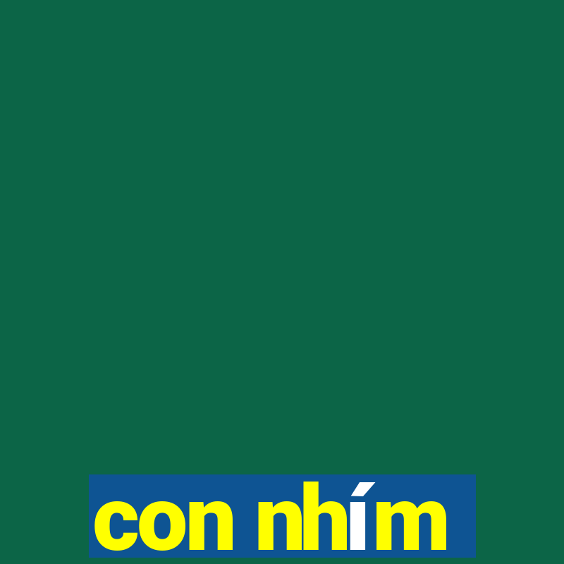 con nhím