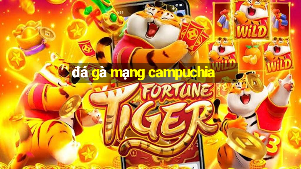 đá gà mạng campuchia