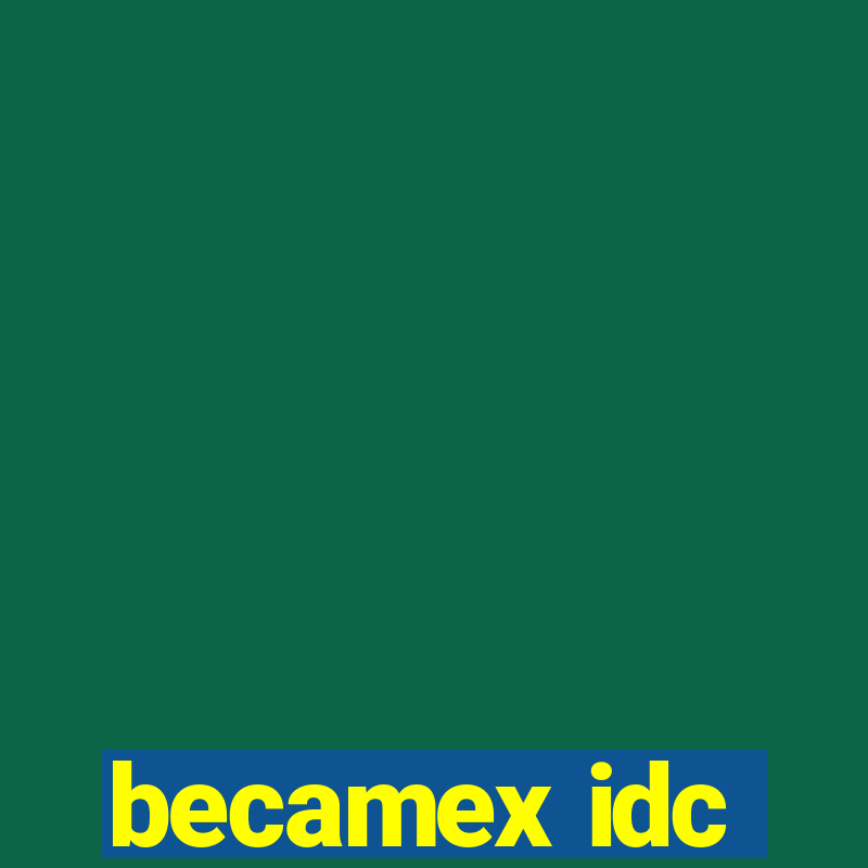 becamex idc