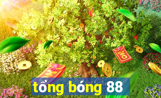 tổng bóng 88