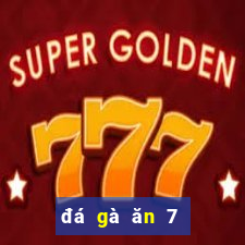 đá gà ăn 7 là gì