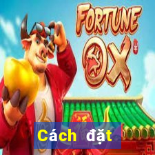 Cách đặt cược XSQN ngày 24