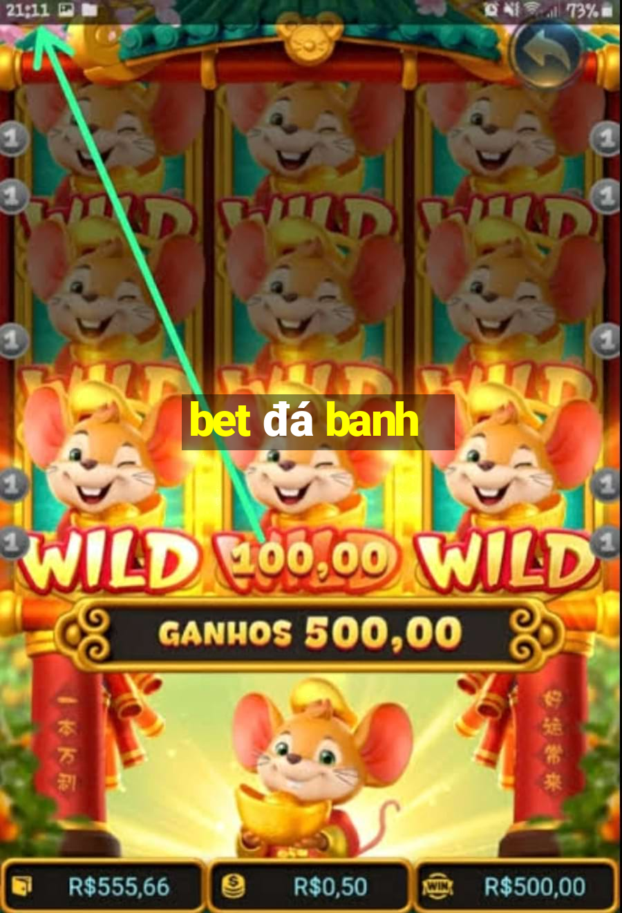 bet đá banh