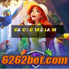 cá cược 1x2 là gì