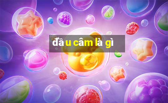 đầu câm là gì