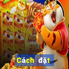 Cách đặt cược XSLD thứ hai