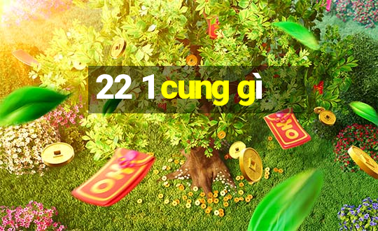 22 1 cung gì