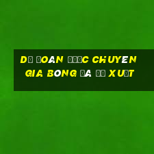 Dự đoán được chuyên gia bóng đá đề xuất