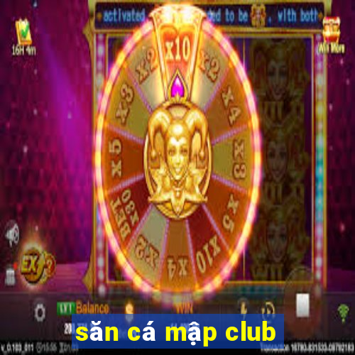 săn cá mập club